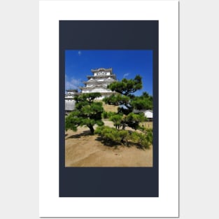 Japanese castle Posters and Art